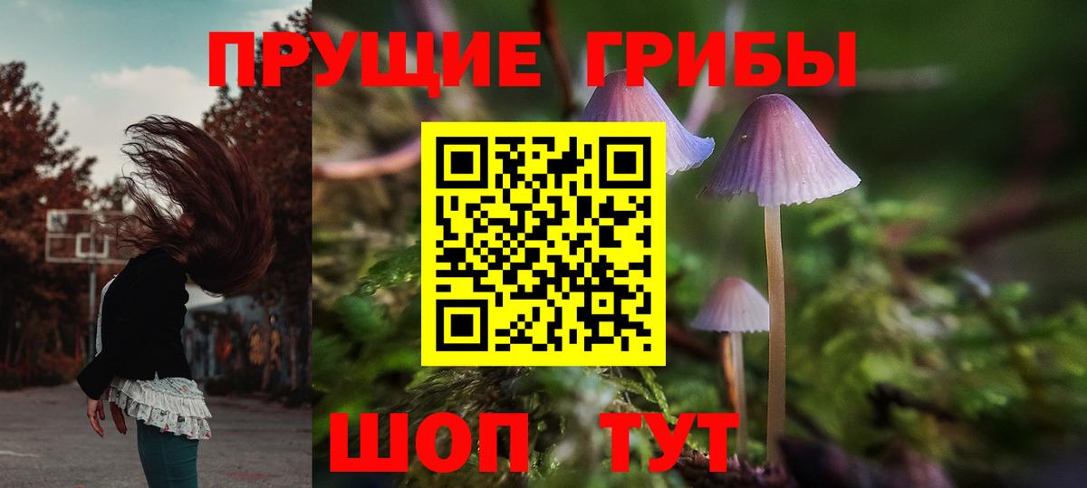 купить   Псилоцибиновые грибы Psilocybine cubensis  Вход с VPN  Феодосия 